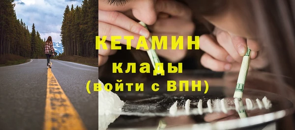 сатива Беломорск