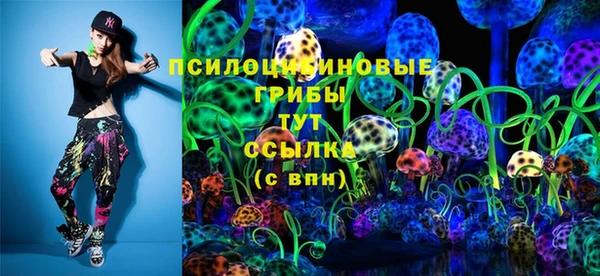 дурь Белокуриха