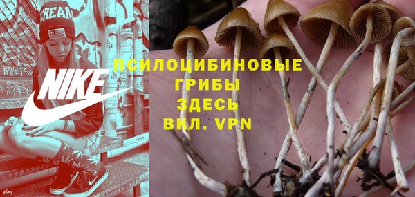 сатива Беломорск