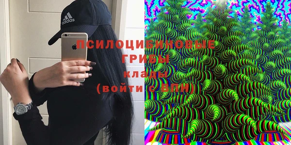 дурь Белокуриха