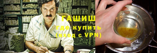 сатива Беломорск