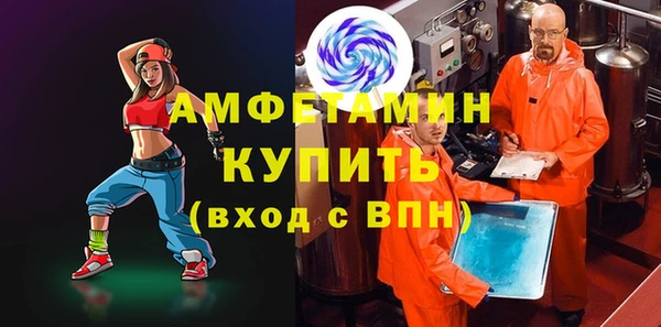 сатива Беломорск