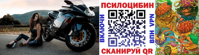 закладки  Котлас  Галлюциногенные грибы Cubensis 
